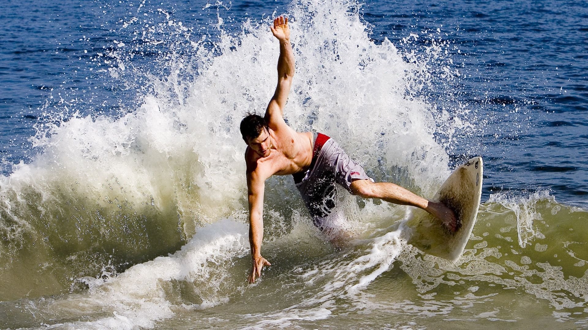 乡村马术耐力跑 骑手与马儿共同征服林道与溪谷