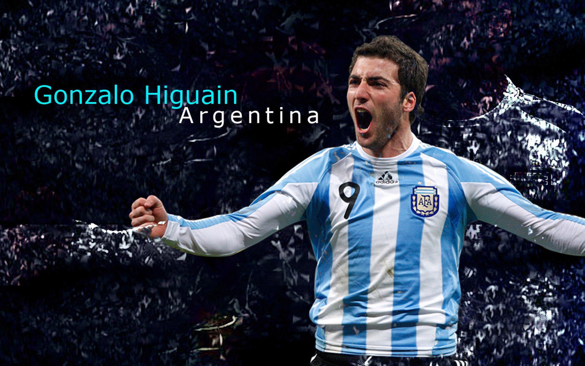 最强核心训练动作